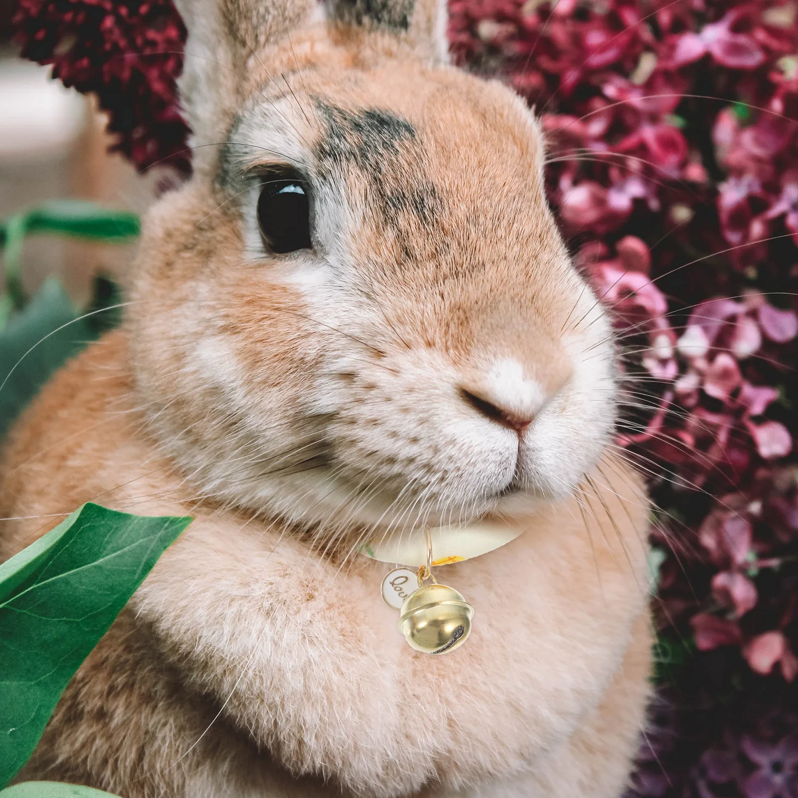 

2pcs Rabbit Collar Pet Collar Gift Adjustable Cute Bell Rabbit Kitten Ferret Guinea Pig Pet Neckb Fashion Decorative