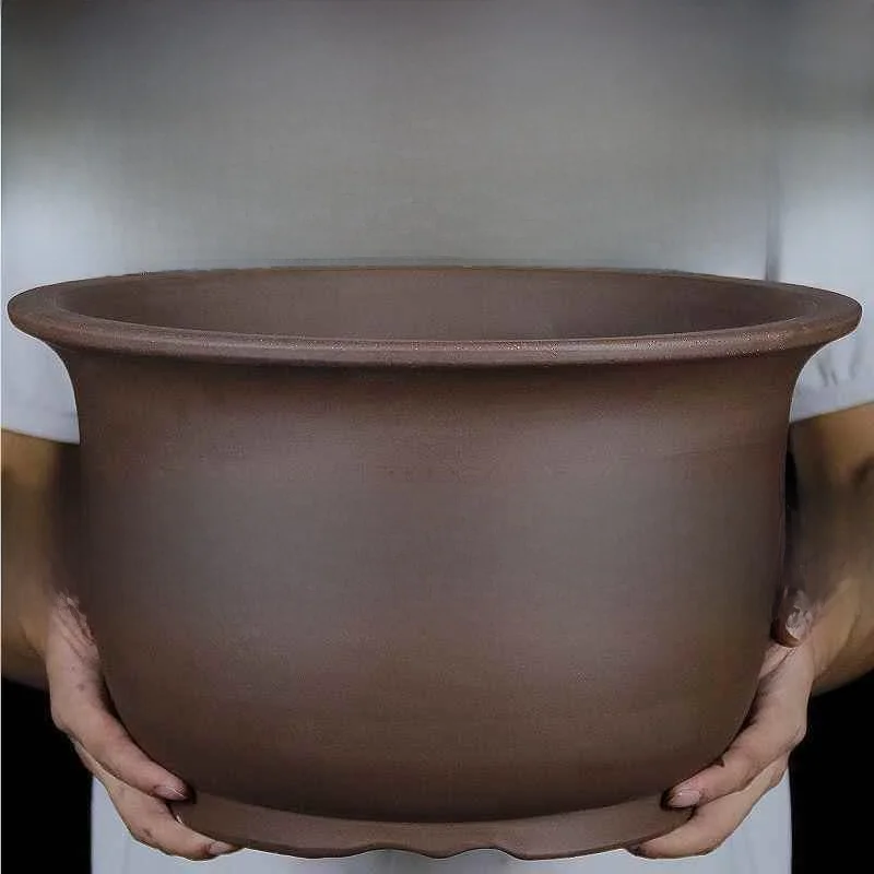 eta de Cerámica Extra ande de 30 cm, Arcilla Morada, eta para Orquídeas, Hiedra Verde, Pls Coles para Decorac...