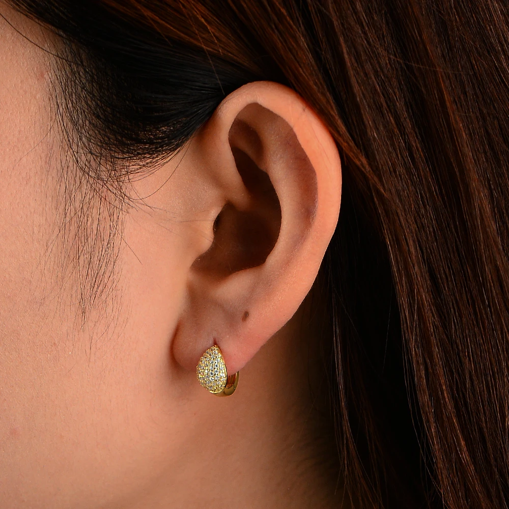 Women's Micro-Set Zirconia Circle Ear Cuffs S925 Sterling Silver High-End Geometric Full-Diamond Studs Quality Jewelry - view 2
