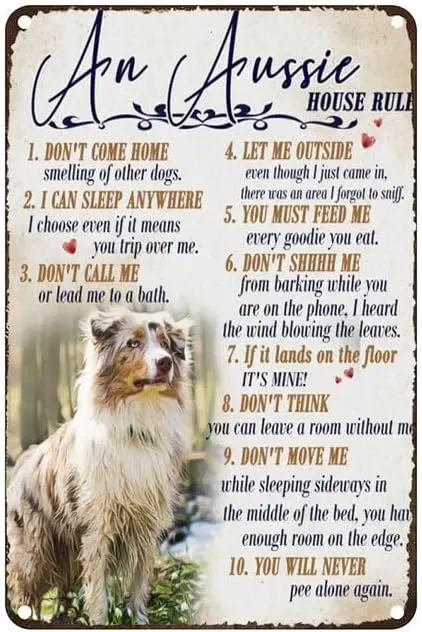 Vintage Metal Tin Sign An Aussie House Rules Let Me Outside Rustic Wall Decor For Home Bedroom Bar Cafe Club