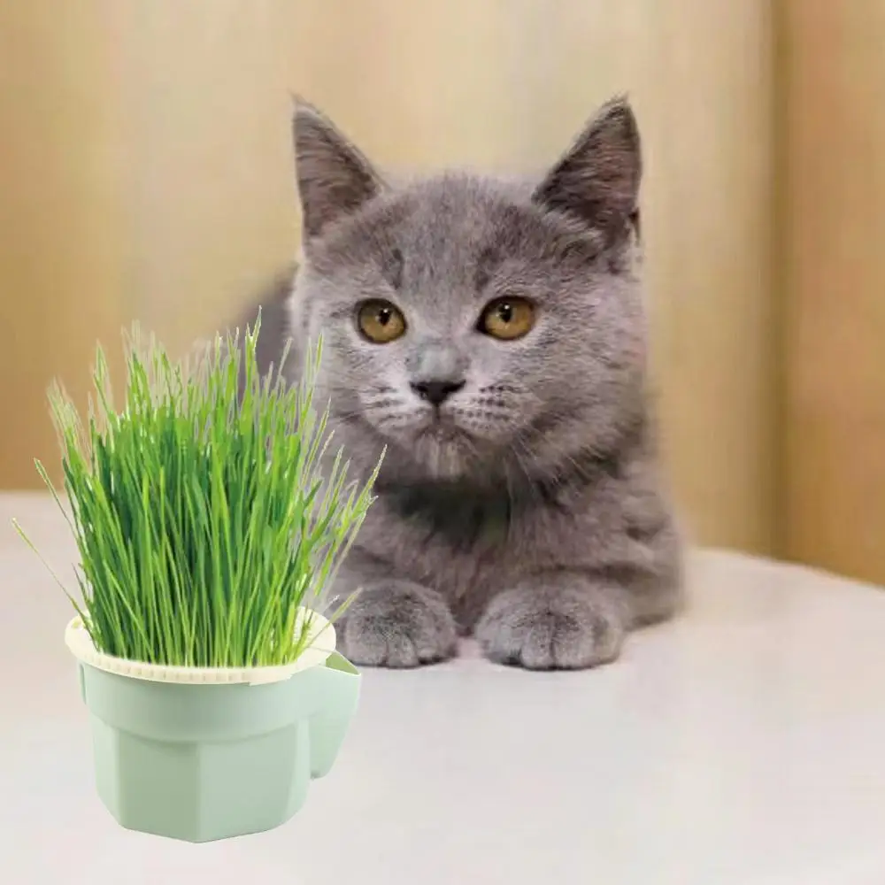 Hydroponic Cat Grass Box Planter Easy To Grow Reusable Soilless Planting Box Hierarchical Design Detachable Grass Sprouter Tray