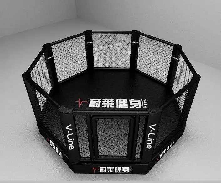 International Standard High Quality Boxing Ring MMA Cage Wrestling Cage For Export