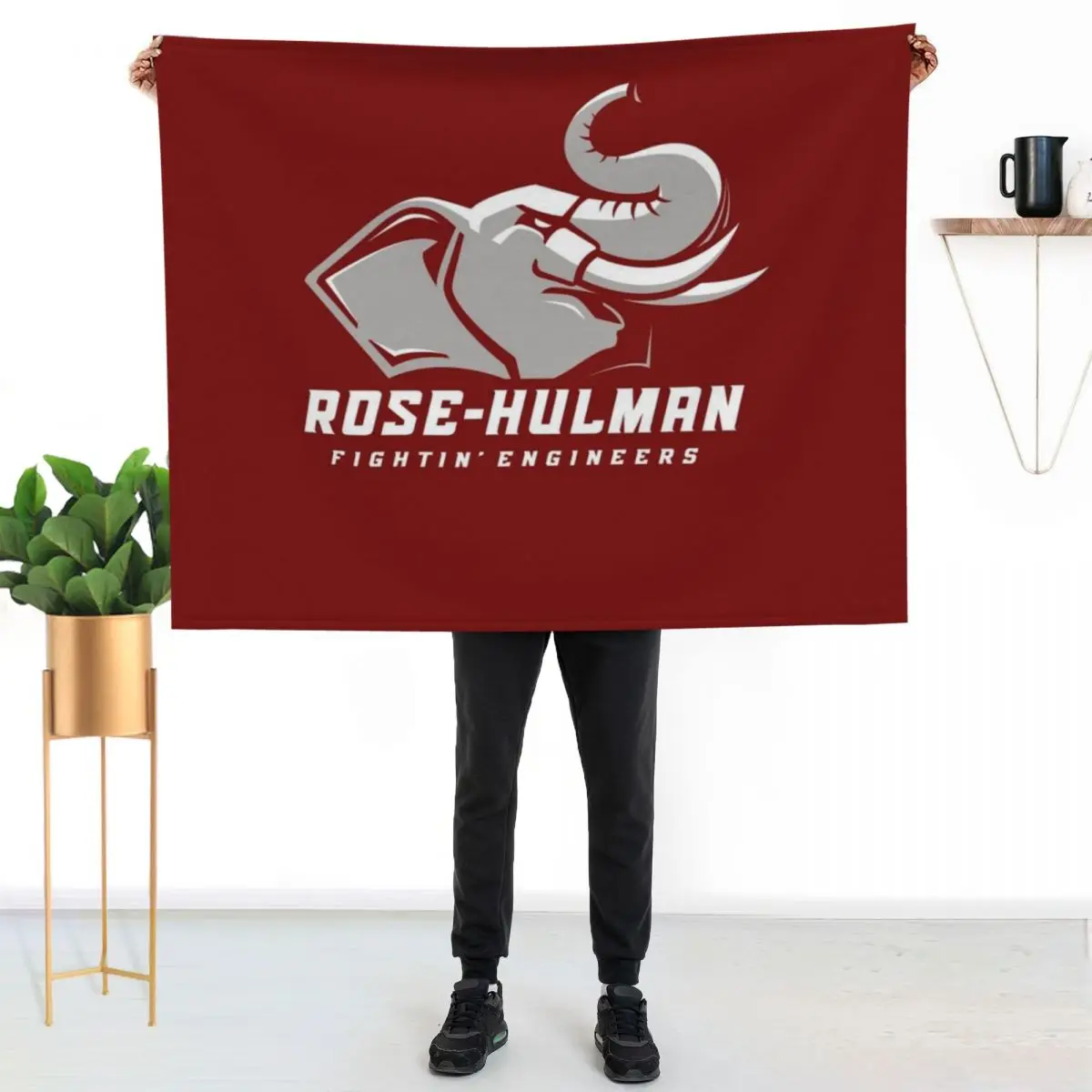 The Rose Hulman Fightin' Engineers Throw Blanket Tourist Winter beds Sofa funny gift Stuffeds anime Blankets