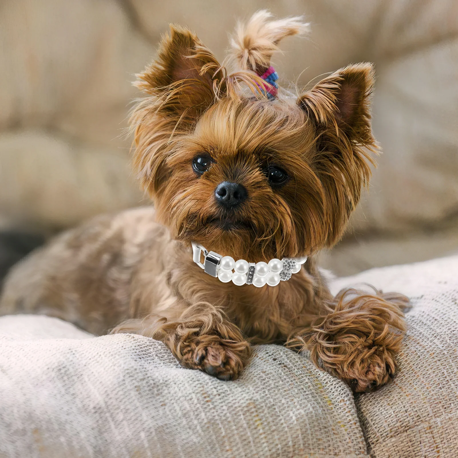 

Pearl Dog Collar Small Breed Adjustable Elegant Chunky Pet Jewelry Necklace for Puppies Dog Bead Collar Puppy Collars