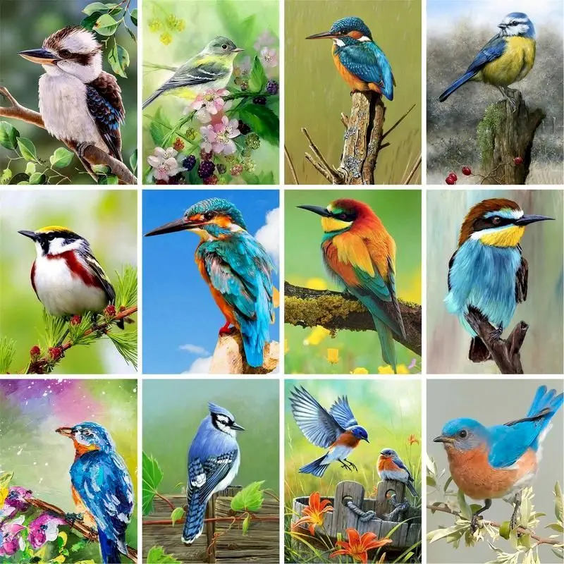 Painting By Numbers For Adults Sparrow Bird Animal Unique Gifts Oil Pigment Drawing On Canvas Framed Wall Art Craft