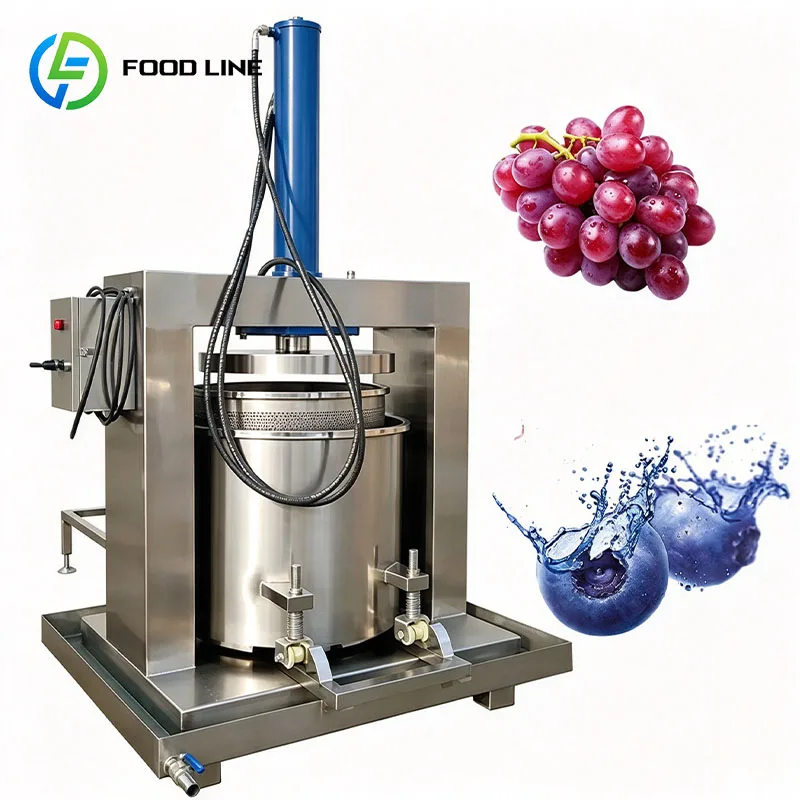 Hydraulic Juice Extractor Hydraulic Fruit Press Commercial Machine for Sweet Orange and Mandarin Juice Customized