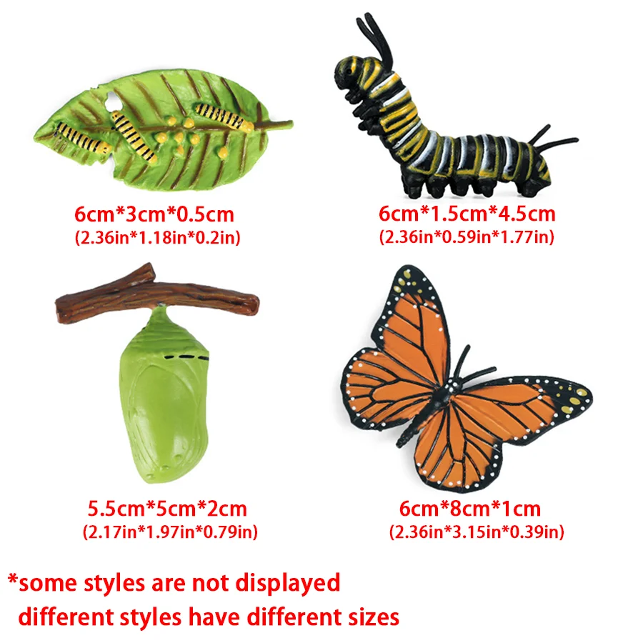 2sets Insect Life Cycle Figurine, Butterfly & Luna Moth Growth Stage Model, Figure for Biology Observation & Display Decor XJM