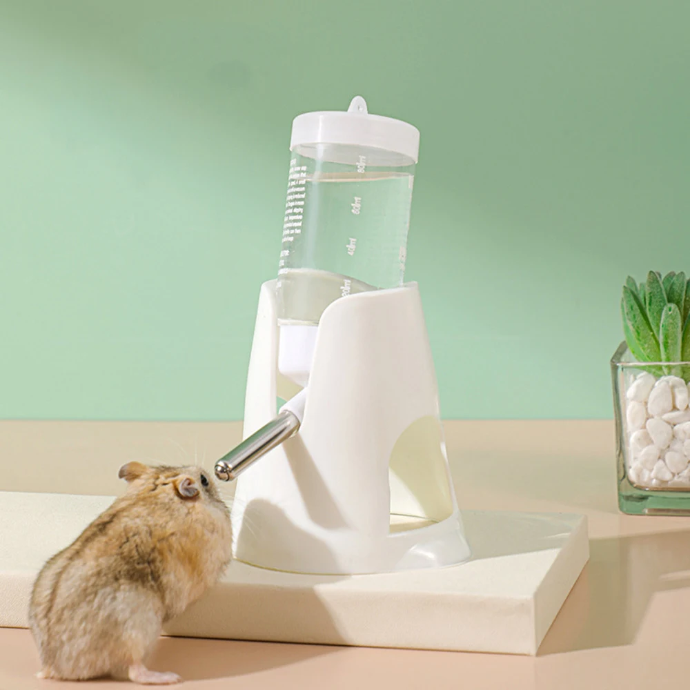 Best Automatic Rat Feeder for Busy Pet Owners: Real-World Testing and Setup Guide
