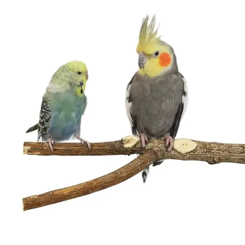 

Natural Wood Parrot Perch Set Wooden Platforms For Parrot Stand Budgerigars Cockatiels Small/Medium Parrots (Claw/Beak Trimming)