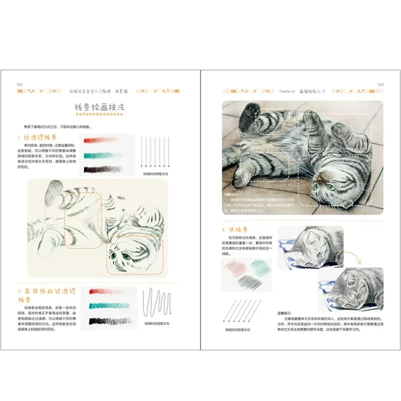 I am a Cat Complete Self-study Introductory Tutorial of Color Painting Drawing Art Book