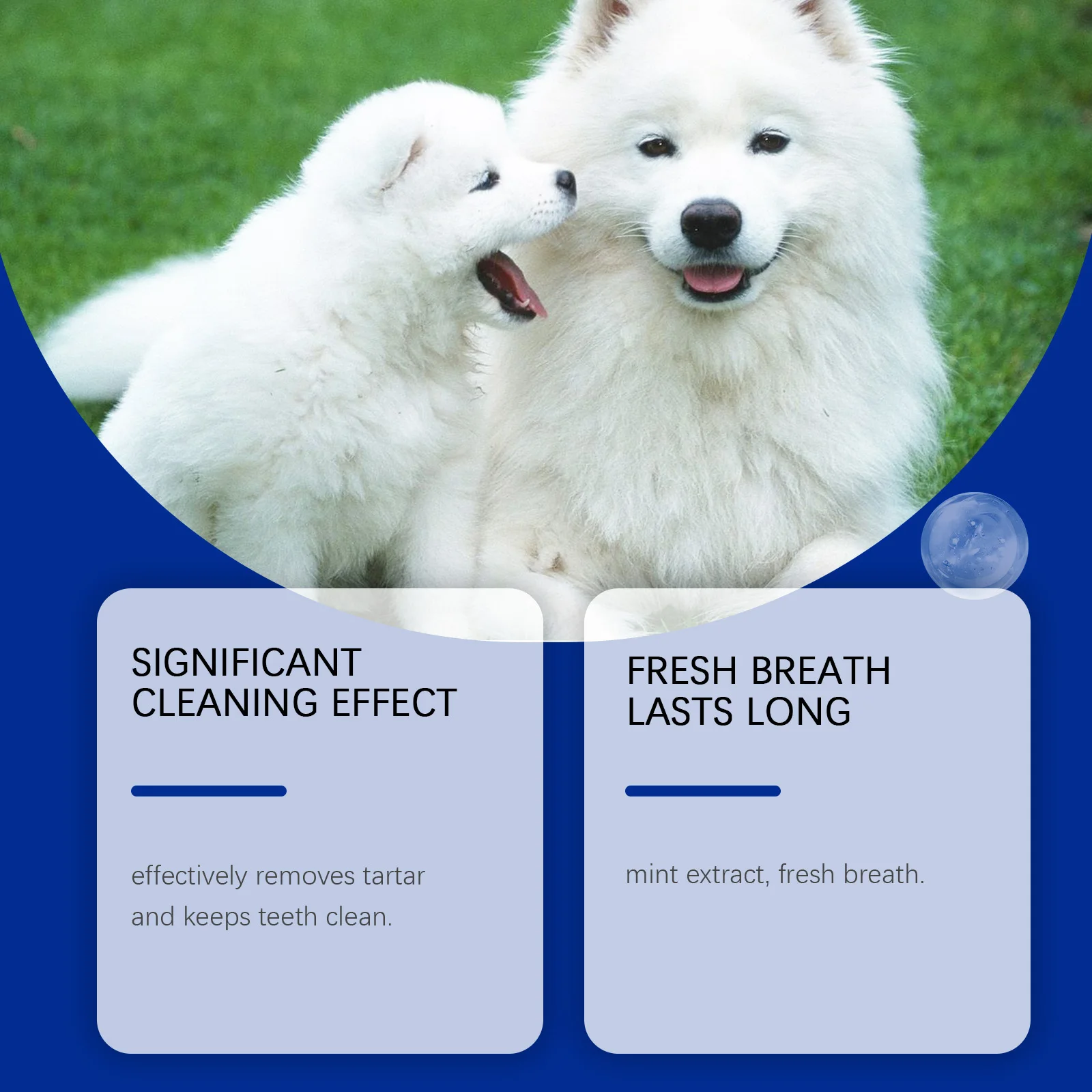 100g Dog Tooth Cleaning Powder Gently Cleanses Dog Teeth, Cares for Oral Hygiene, is Fresh and Clean, and Pet Tooth Powder