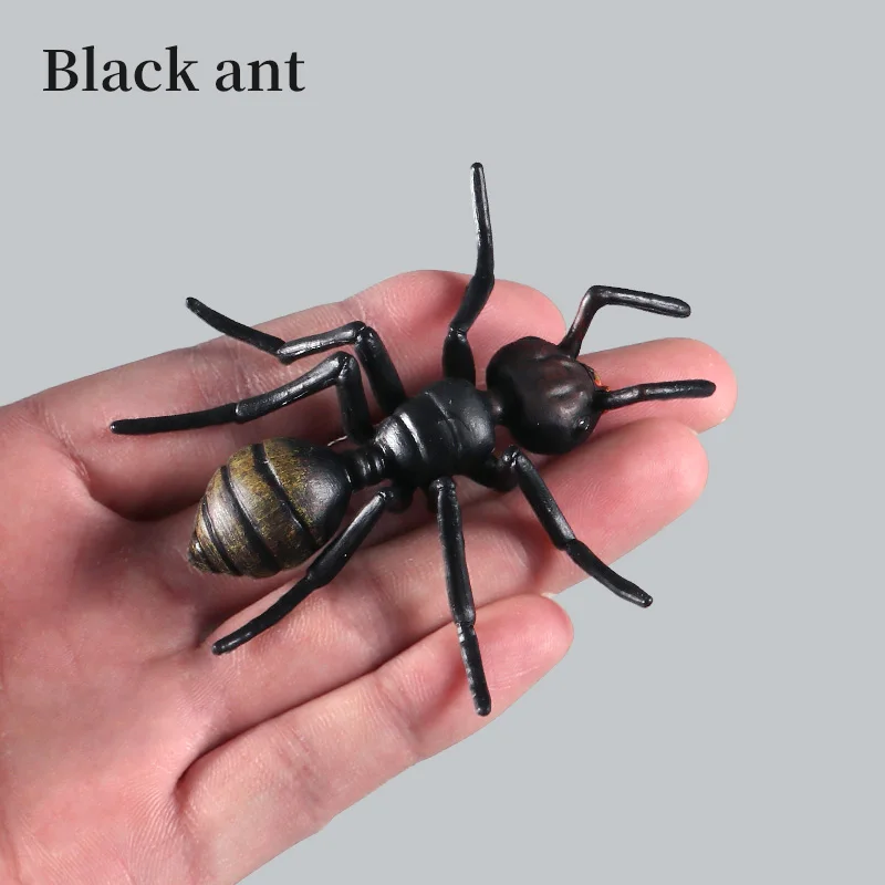 محاكاة الحشرات الصلبة نماذج للحيوانات النمل Arthropod عمل أرقام ألعاب معرفية تعليمية للبنين والبنات هدايا الأطفال