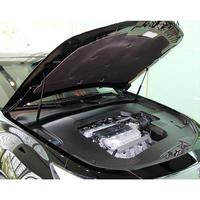 QM-2X For Acura TL 2004-2008 Front Hood Lift Support Shocks Struts Prop Rod Damper