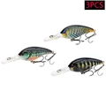 3PCS MC
