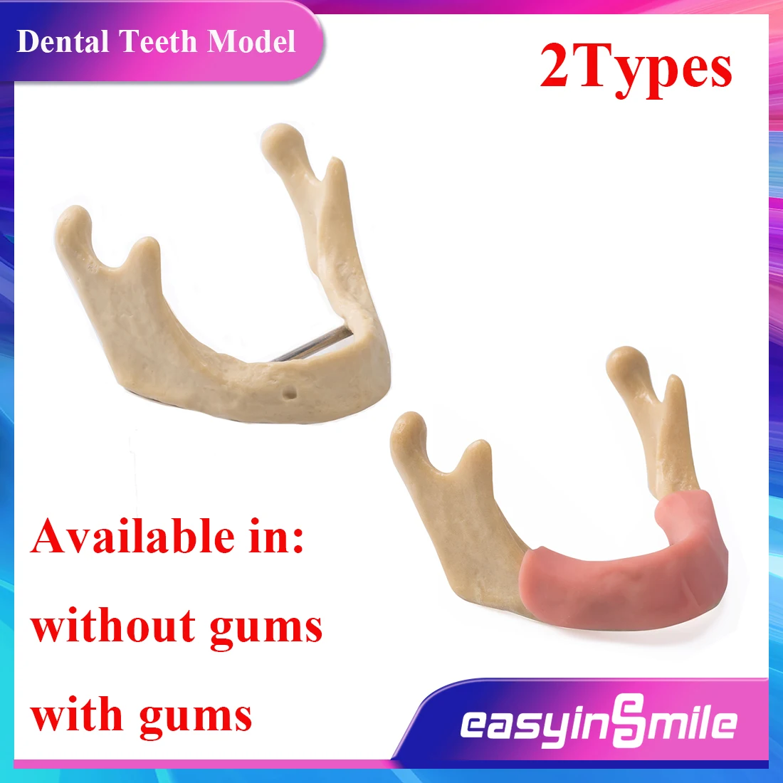 1Pcs Dental Teeth Study Model Low Jaw Bone Mandibular Mandible Anatomical With Gums/Without Gums Easyinsmile