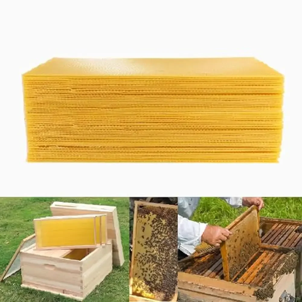 60pcs Langstroth Beehive Bee Wax Foundation Sheets Deep Frames Beekeeping must have beeswax natural high yield easy to use party