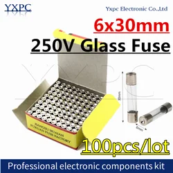 100pcs 6*30 250V Glass Fuse 6x30mm Household Fuses 0.1A 0.2A 0.5A 1A 2A 3A 4A 5A 8A 10A 15A 20A 25A 30A