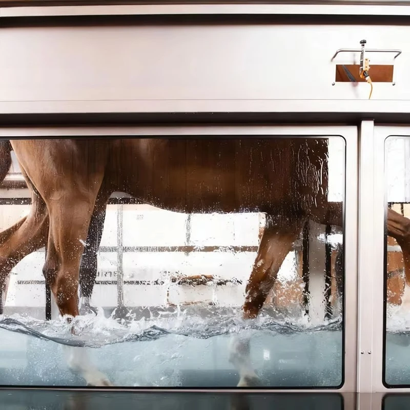 2026 316 Stainless Steel Reusable Modern Equine Horse Treadmill Underwater Treadmill Outdoor Water Exercise for Horse Supplies