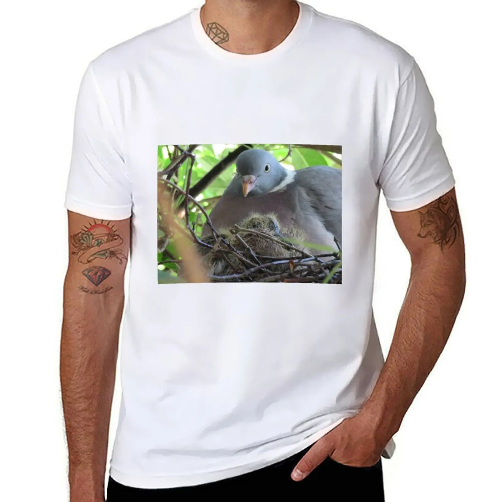 

Wood pigeon and squabs T-Shirt t shirts for man graphic tees man t shirts cotton T-Shirt