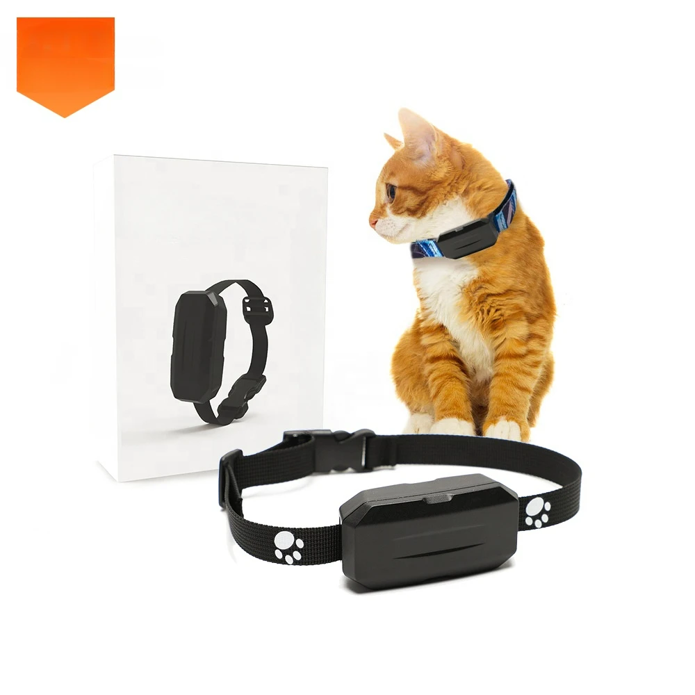 Sensor 4G Animal Cat Locator Waterproof Mini Tracking Device Adjustable Small Size GPS Pet Smart Collar