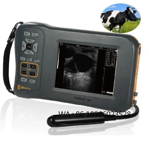 BMV Farmscan L60 pig cattle cow bovine equine  veterinary equipment for large animals