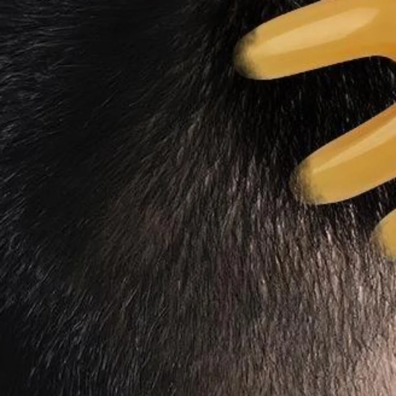 2pcs Resin Octopus Massage Comb Head Meridian Scraping Scalp Massage Brush Acupuncture SPA GuaSha Massage Comb Massager