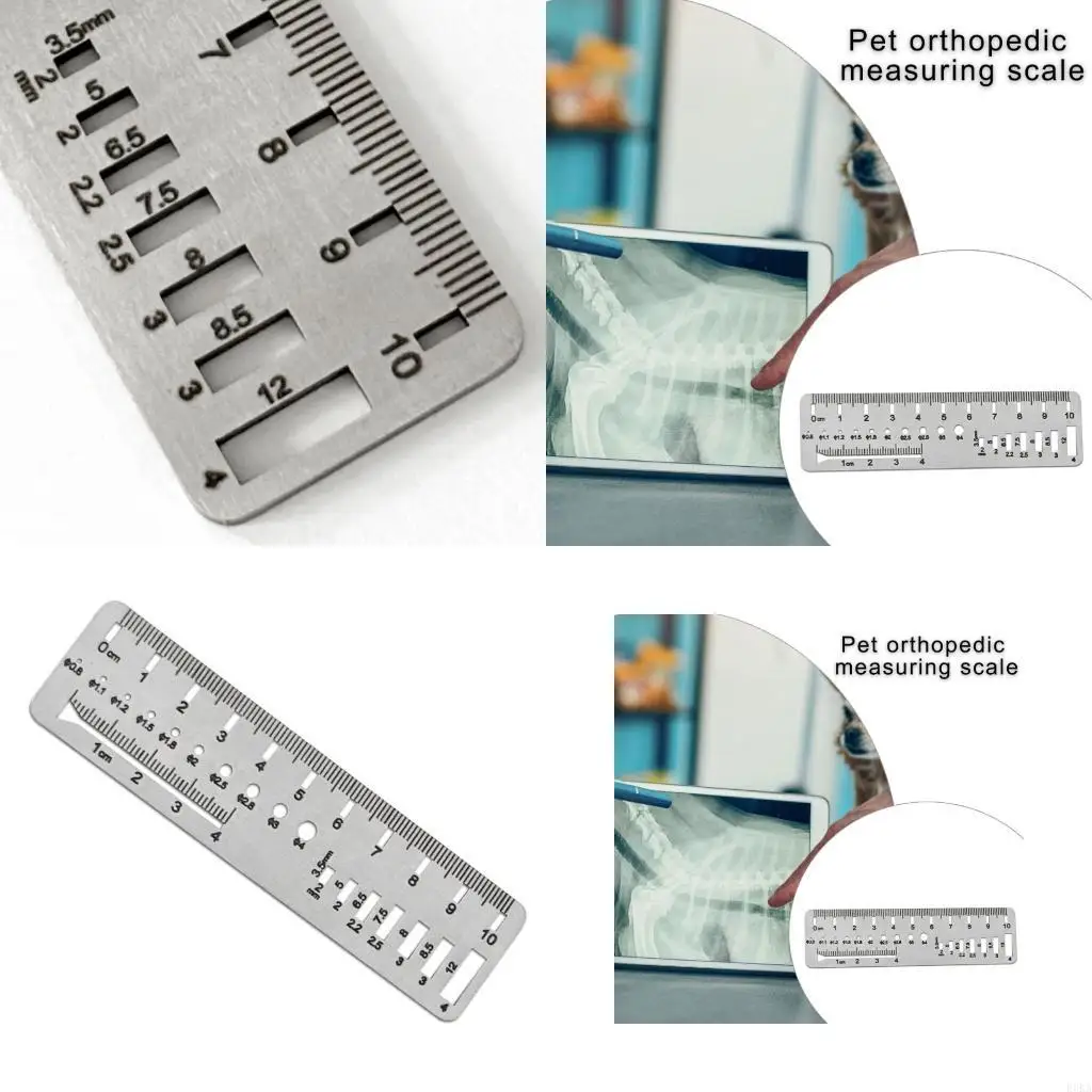   Precisions Veterinary Bone Surgeries Calipers High Accuracy Stainless Steel Ruler for Pet Orthopedics Procedures