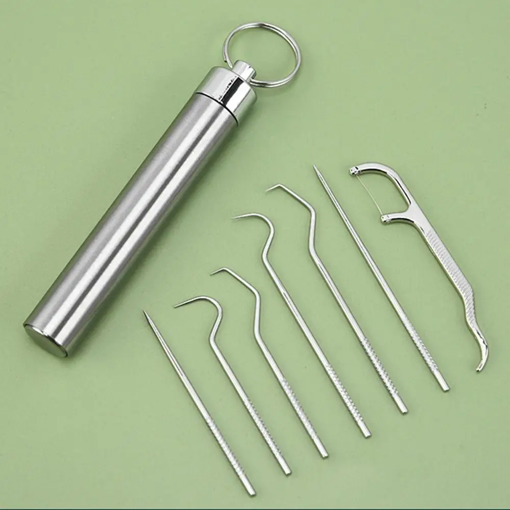 Aço Inoxidável Dente Pick Set, Chaveiro Titular, Dente Flosser, Bolso Toothpick, Dentes Limpador, Caixa De Armazenamento De Selo, Cuidado