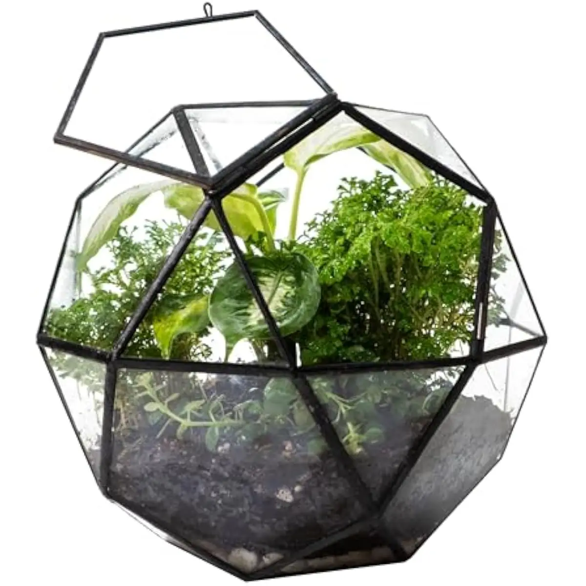 Geometric Sphere Terrarium with Hinged Door | Transparent Glass Enclosure for Moss Gardens and Small flora | Humidity-Retaining