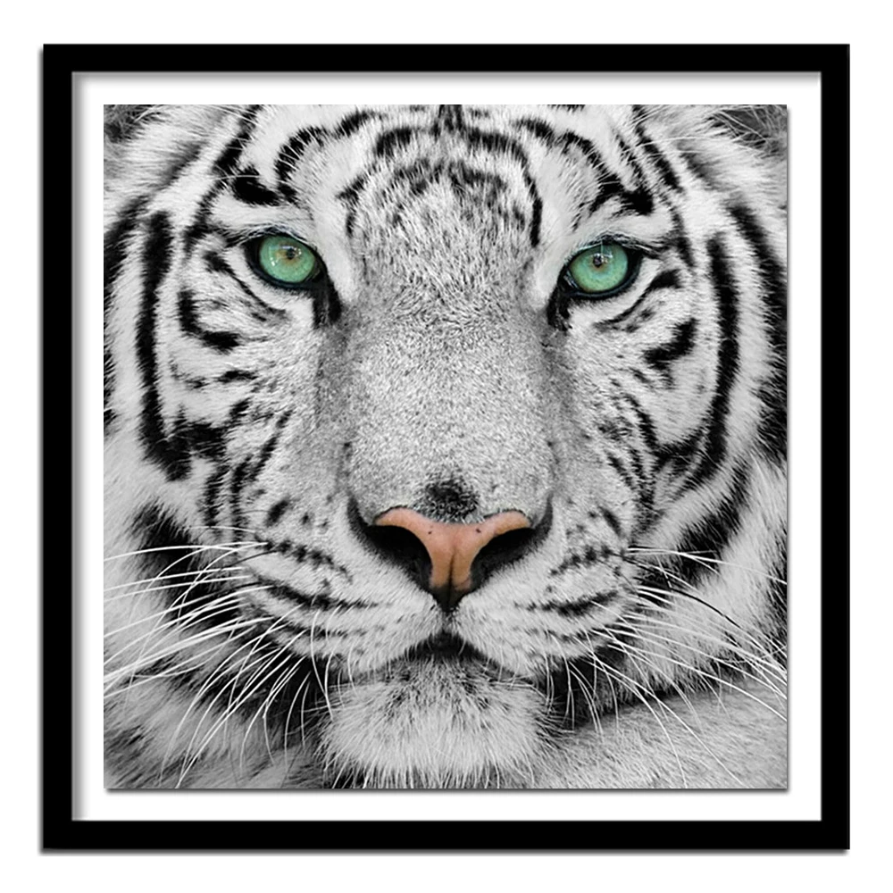 5D Full Diamond Embroidery Diamond  White Tiger Head DIY Diamond Painting Cross Stitch Craft Home Decoration