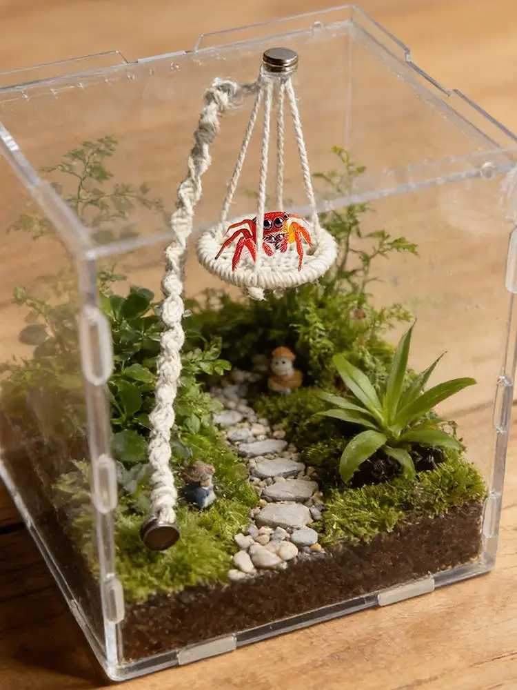 Accessoires voor spinnenverblijven Hangbare touwhangmat Accessoires voor springspinhabitat voor terrariumkweek van gekko's en boomkikkers - afbeelding 2