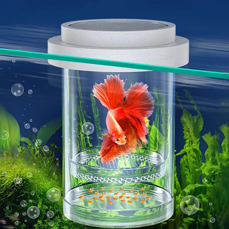 

Suspension Aquarium Isolation Breeding Box Juvenile Fry Rearing Feeder Peacock Fish Mother Fish Spawning Hatchery Hatching Tanks