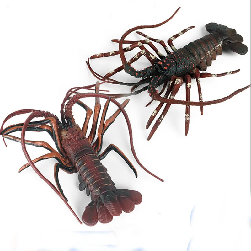 Model hewan Lobster laut tiruan ornamen dekorasi mainan hewan kognitif anak-anak Lobster Australia plastik padat