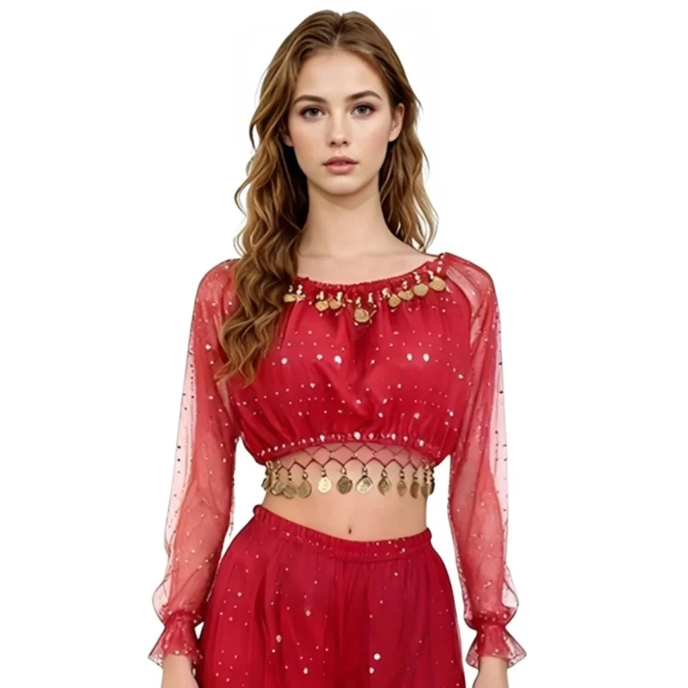 

Sequins Decor Belly Dance Top Dangling Coin Multi Dimensional Reflection Belly Dance Costume Comfortable Fit Shiny Design