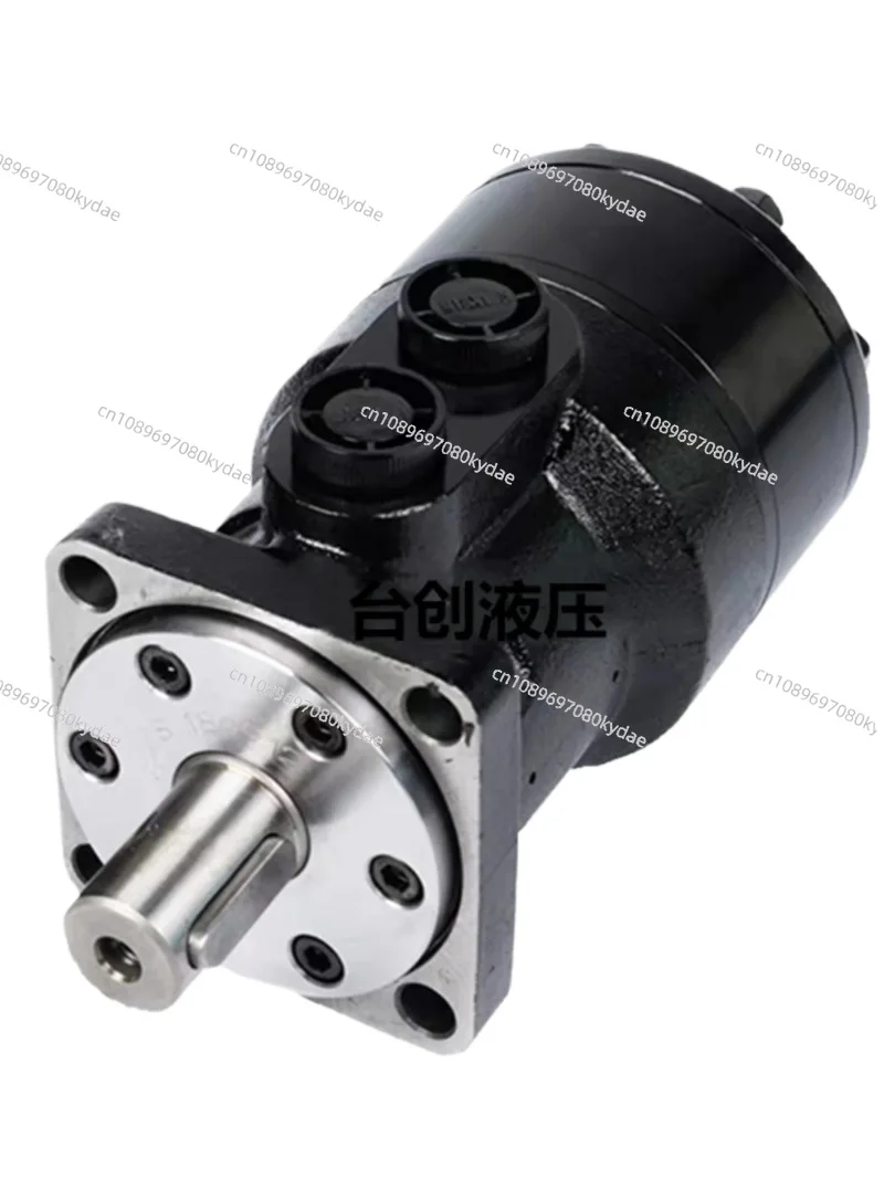 Hydraulic Motor/BMR80/50/100/125/160/200/250/315/400/oil Pressure BM1/BM2