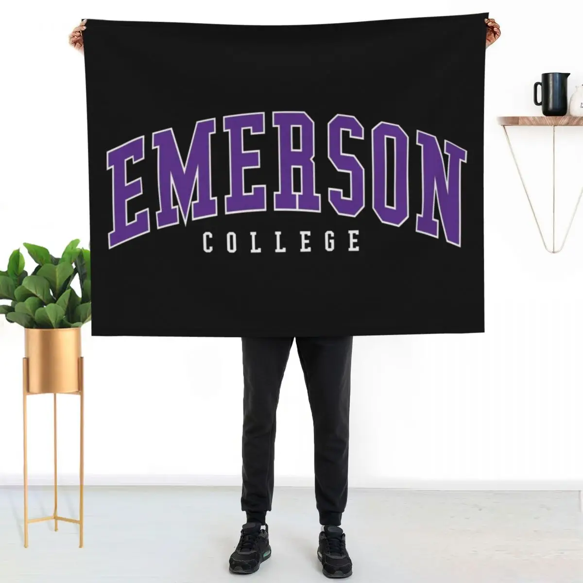 

emerson - college font curved Throw Blanket Air Conditioner Soft Blanket for Office Home