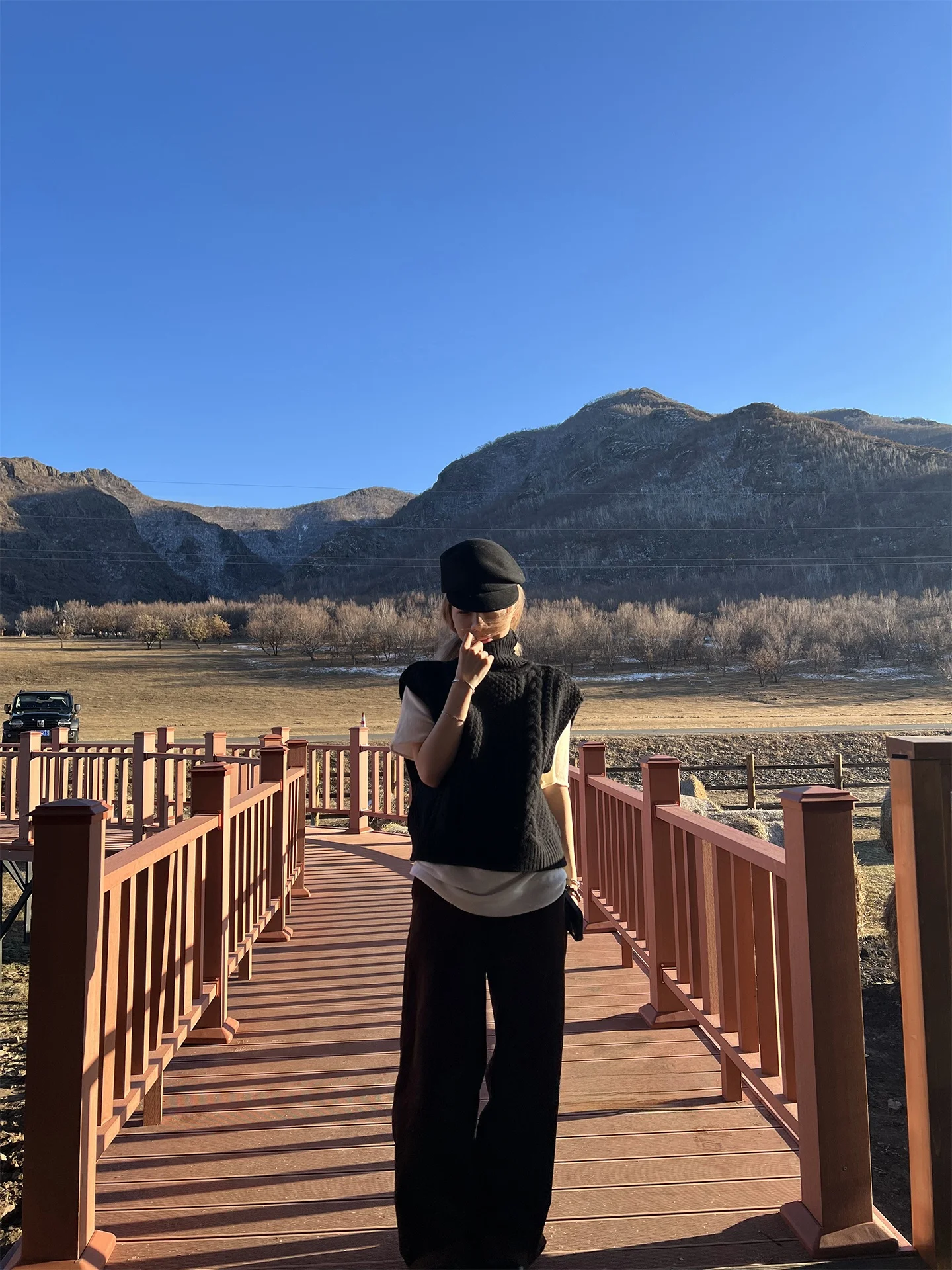 

Женский шерстяной вязаный жилет Mbechic с высоким воротником, осенне-зимний, модный, повседневный, однотонный, утепленный, стандартный крой