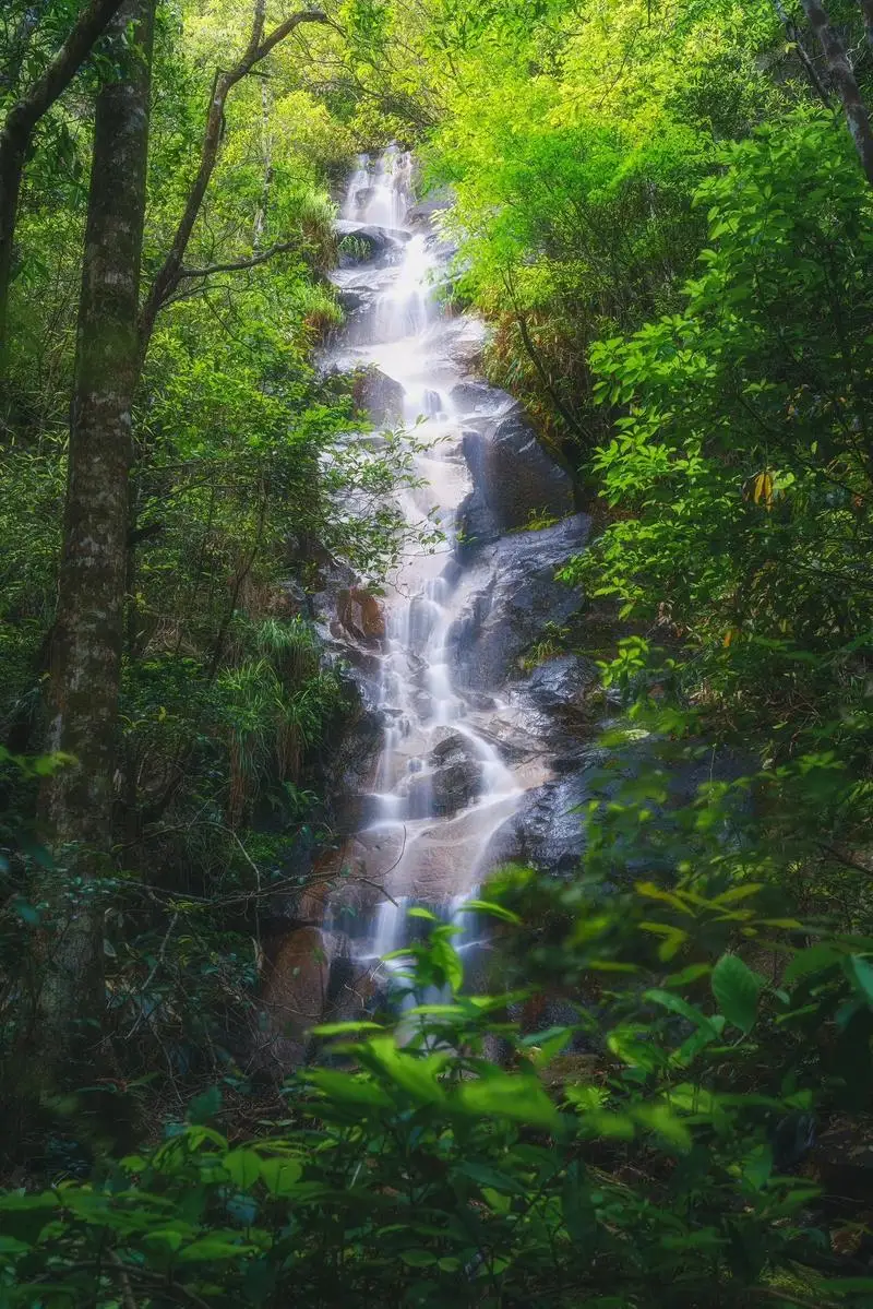 

6KW 5kw 4000w 3kw MPPT Wind Energy Hybrid System Charging Solar Controller 12V 24V 48V Automatic Adjustment Household Wind Power