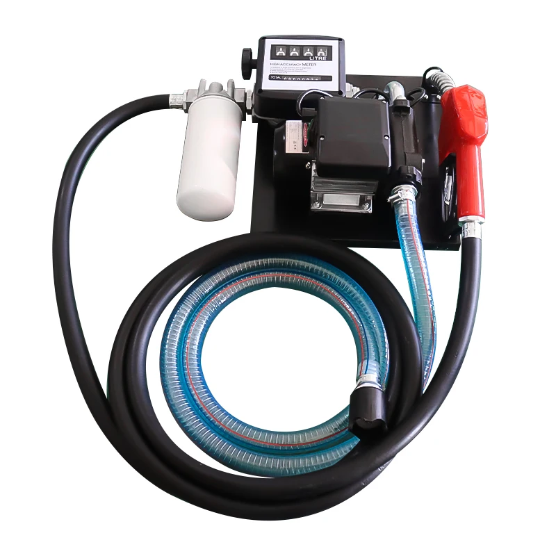 Compact 80L Flow Rate AC 110V 220V Portable Fuel Transfer Pump Kit with Added Fuel Filter