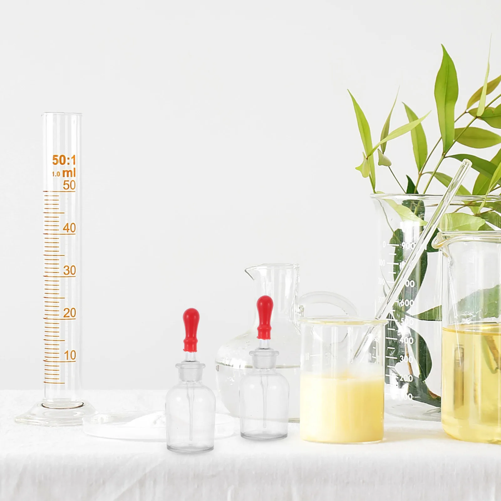 

10 Pcs Essential Oils Laboratory Glass Dropper with Transparent Travel