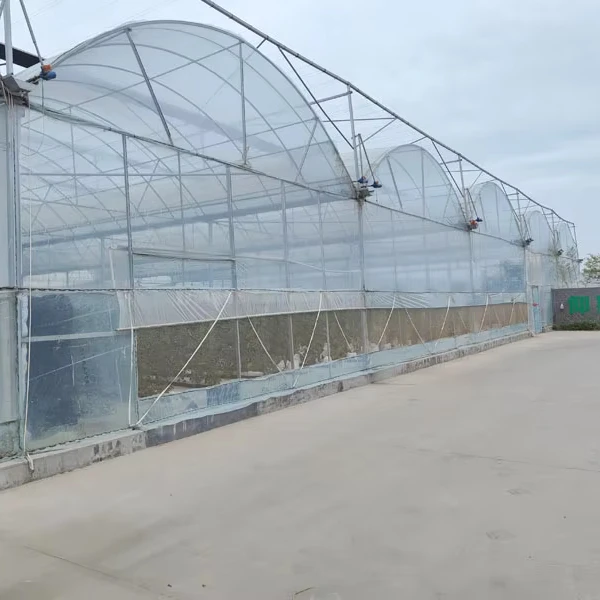 

Customized greenhouseHigh-Yield Hydroponic Multi-Span Film Greenhouse for Lettuce, Tomatoes & Strawberries - Energy-Efficient, A