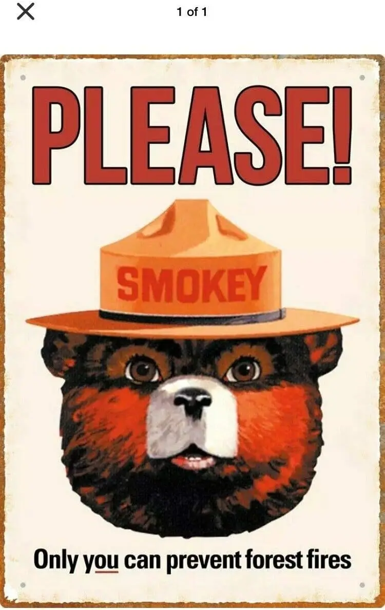 Vintage Metal Tin Sign Smoky Bear Fire Safety Camping Only You Can Prevent Forest Fires for Home Bar Pub Kitchen Garage Res sign