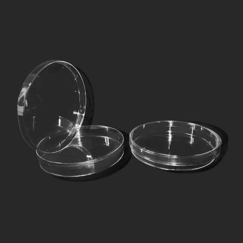 100mm10Pcs Petri Dishes Plastic Transparent With Lids Bacteria Culture Dish Biological Scientific Lab Supplies