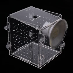 Aquarium fish breeding isolation box Incubator incubator made of acrylic,