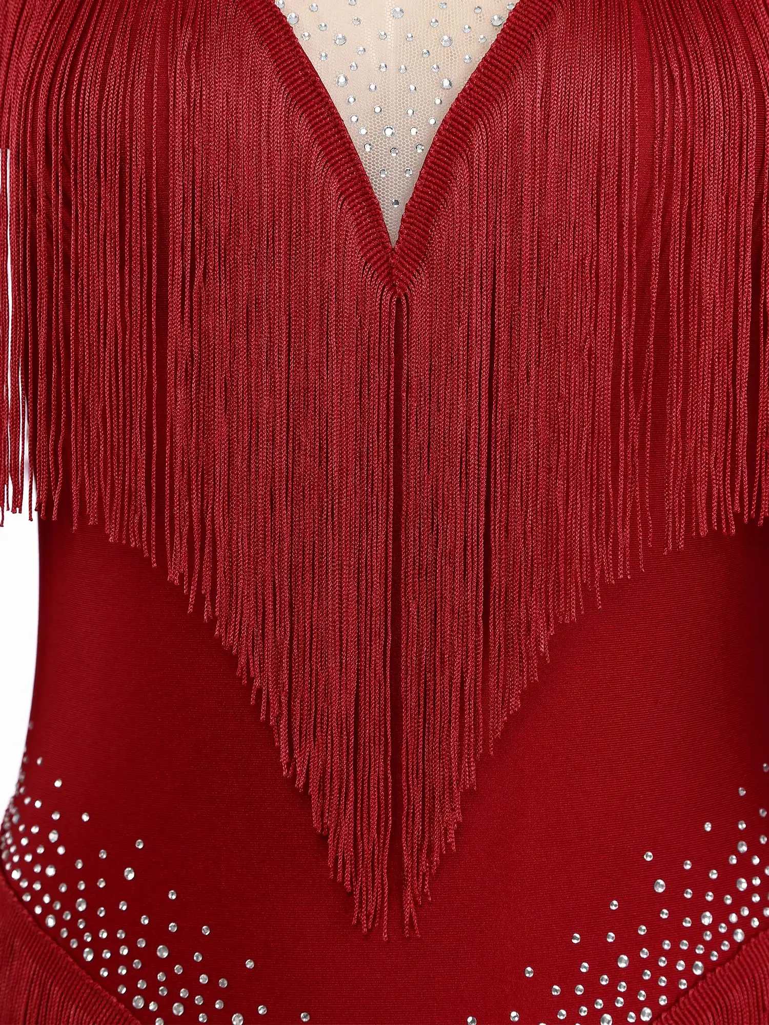 Rhinestone Tassel Leotard Dress for Women's Latin Jazz Dance Performance Clothes Ballroom Fringed Jazz Samba Tango Dresses image 6