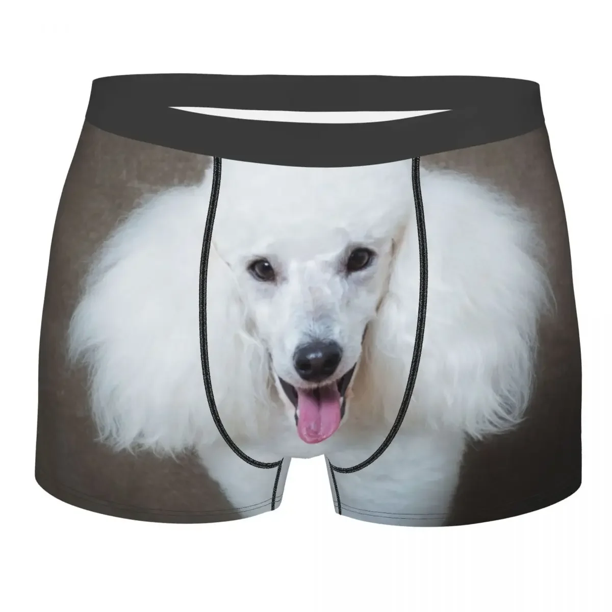 Male Fashion Kawaii White Poodle Dog Underwear Pet Pattern Boxer Briefs Breathbale Shorts Panties Underpants