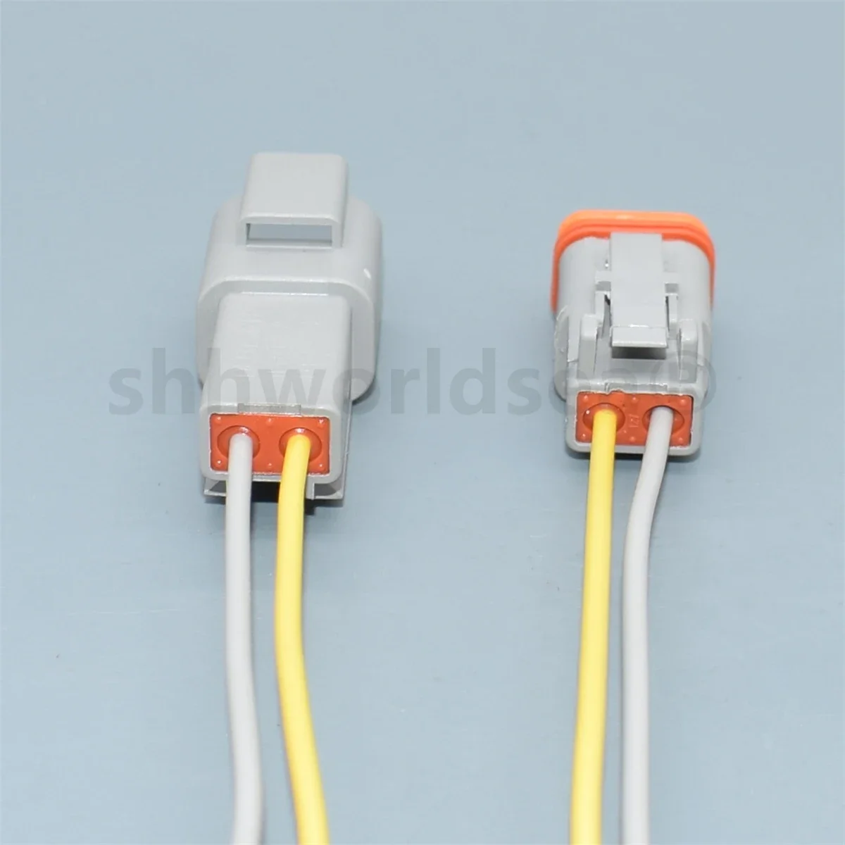 Shhworldsea Dt 2 Pi…