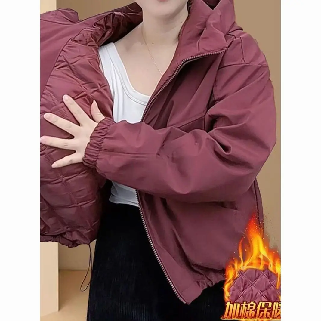 

Байкерские куртки, женская куртка, полые зимние пуховики, стеганый утепленный утепленный костюм-стойка с воротником-стойкой, ветрозащитные альпинистские Ins