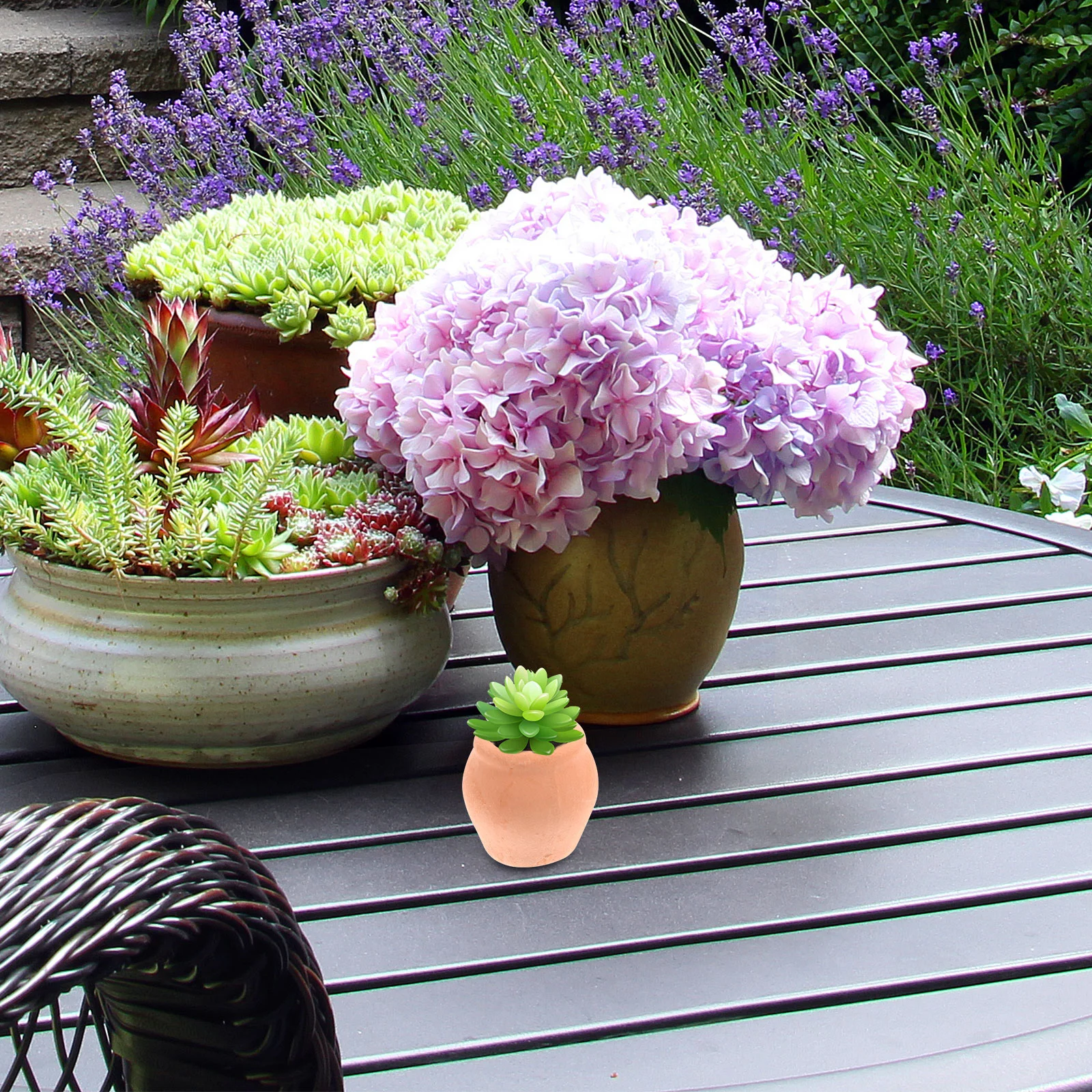 Mini Ceramic Flower Pot Plante - Mini Bonsai Zen Garden review and price