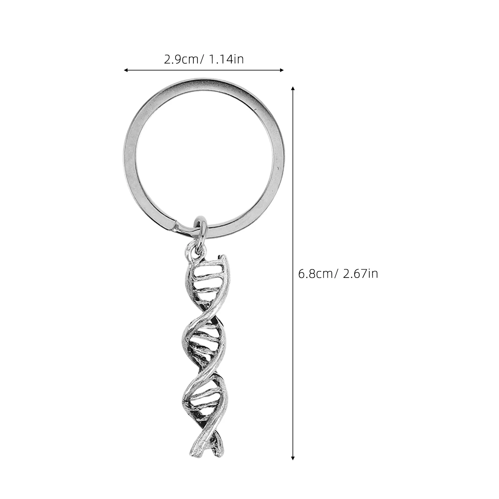 2Pcs Metal Science Keychains Bag Keychains Dna Double Helix Chemistry Biology Symbol Ideal Graduation Teacher Backpack